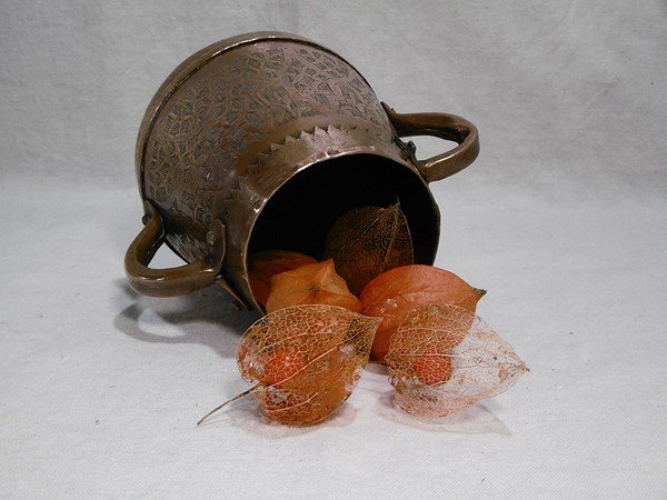 Pot algérien – Image 7