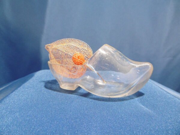 Sabot de verre