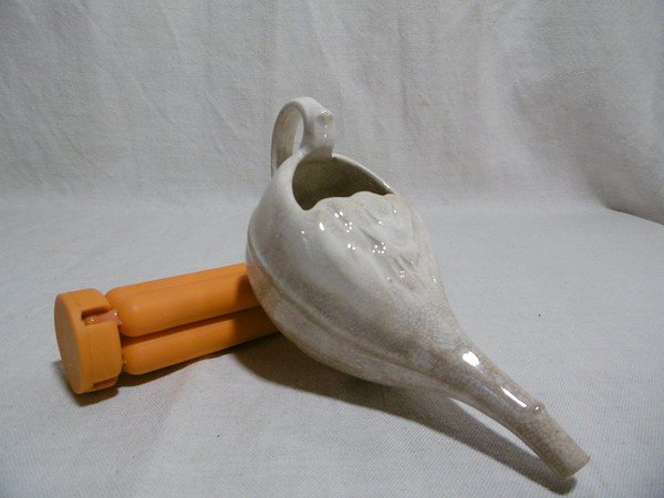 Canard à malade de Sarreguemines