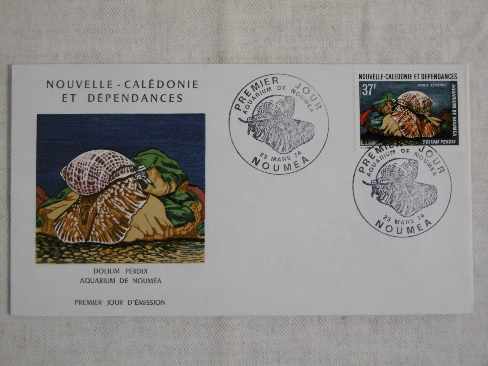 1er Jour "Aquarium de Nouméa" – Image 3