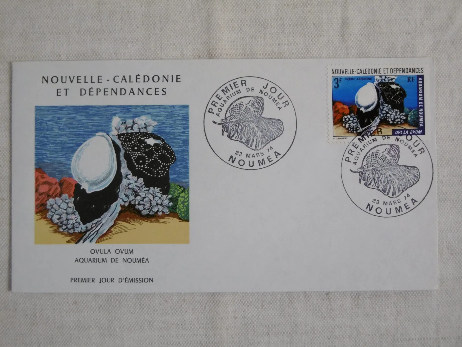 1er Jour "Aquarium de Nouméa" – Image 4