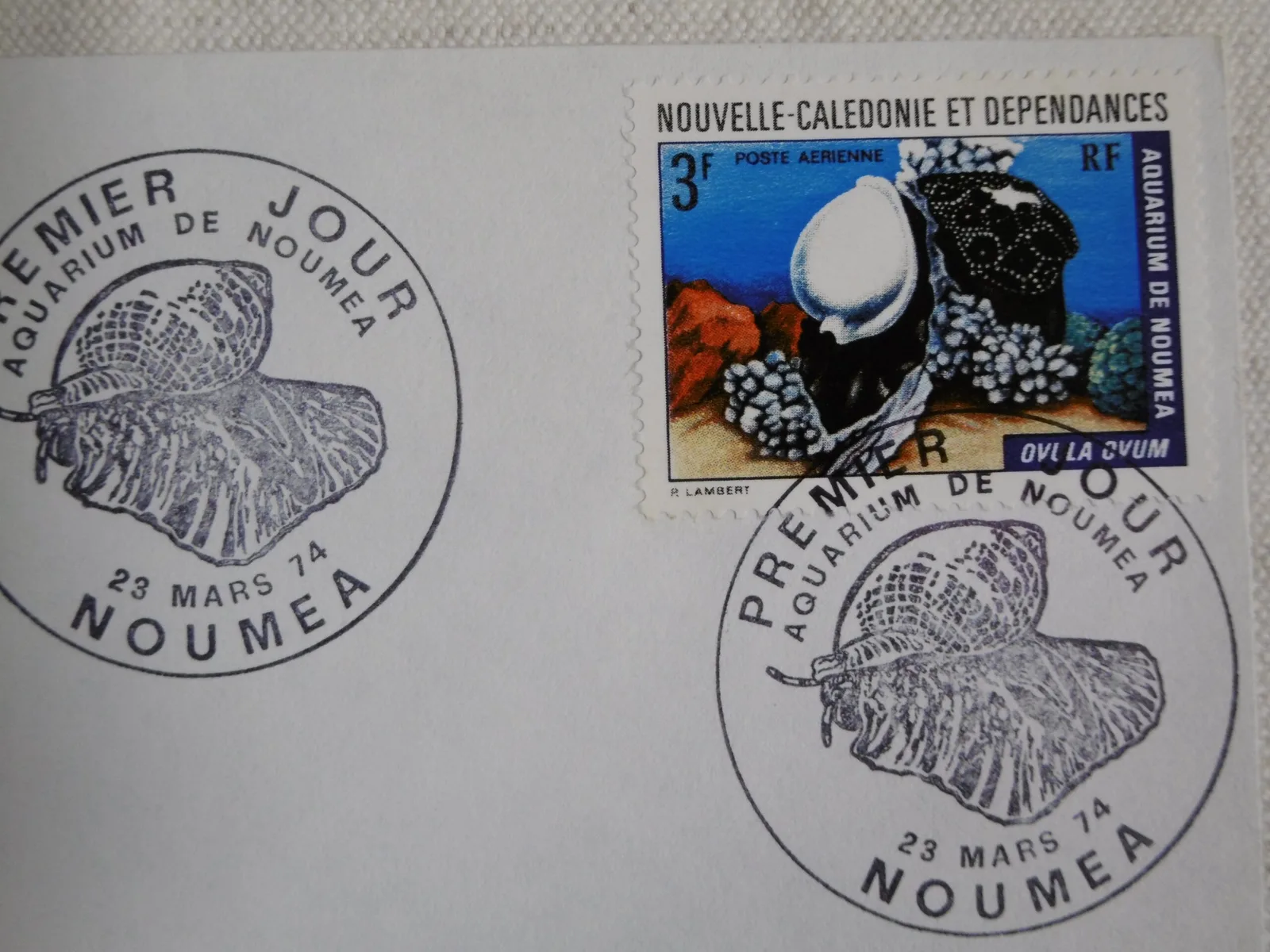 1er Jour "Aquarium de Nouméa" – Image 7