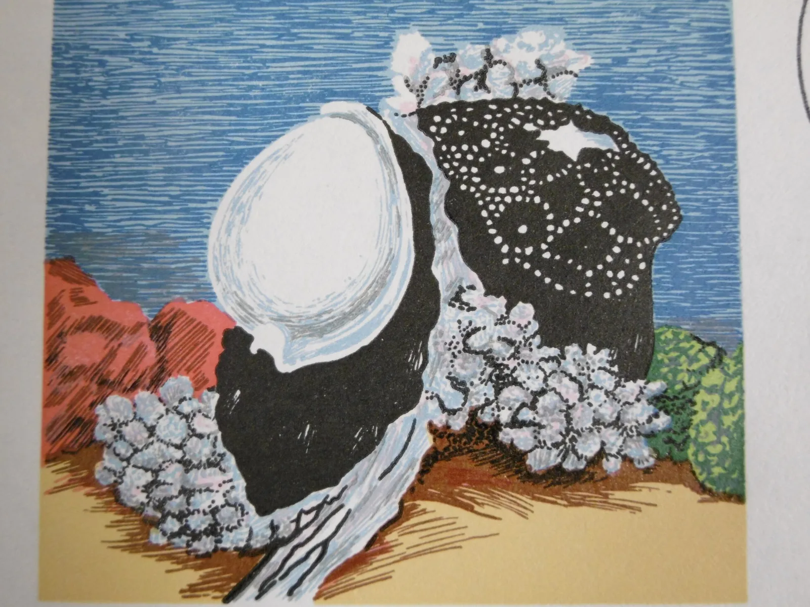 1er Jour "Aquarium de Nouméa" – Image 10