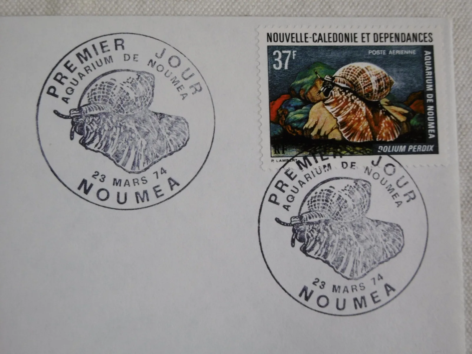 1er Jour "Aquarium de Nouméa" – Image 6