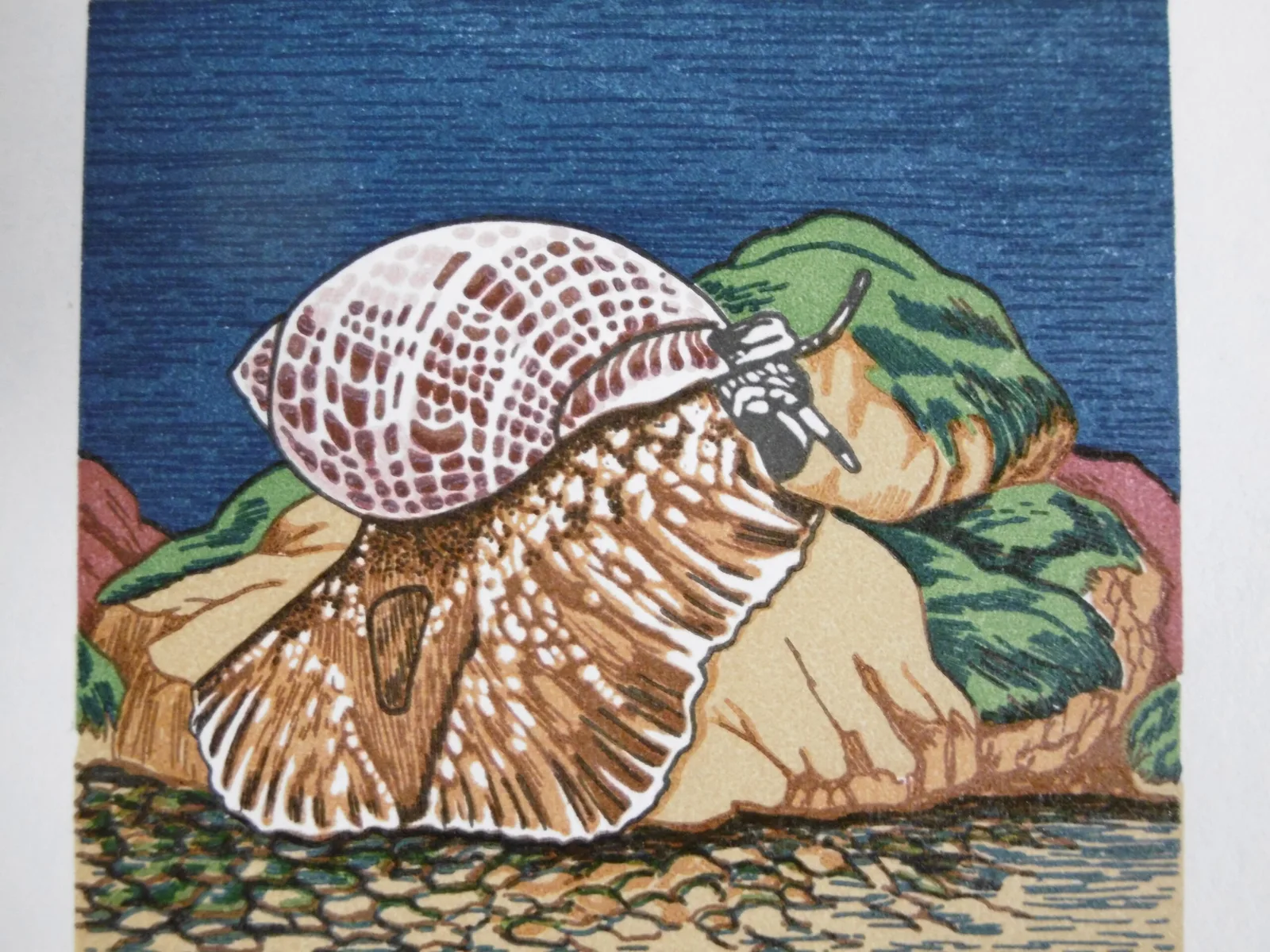 1er Jour "Aquarium de Nouméa" – Image 9