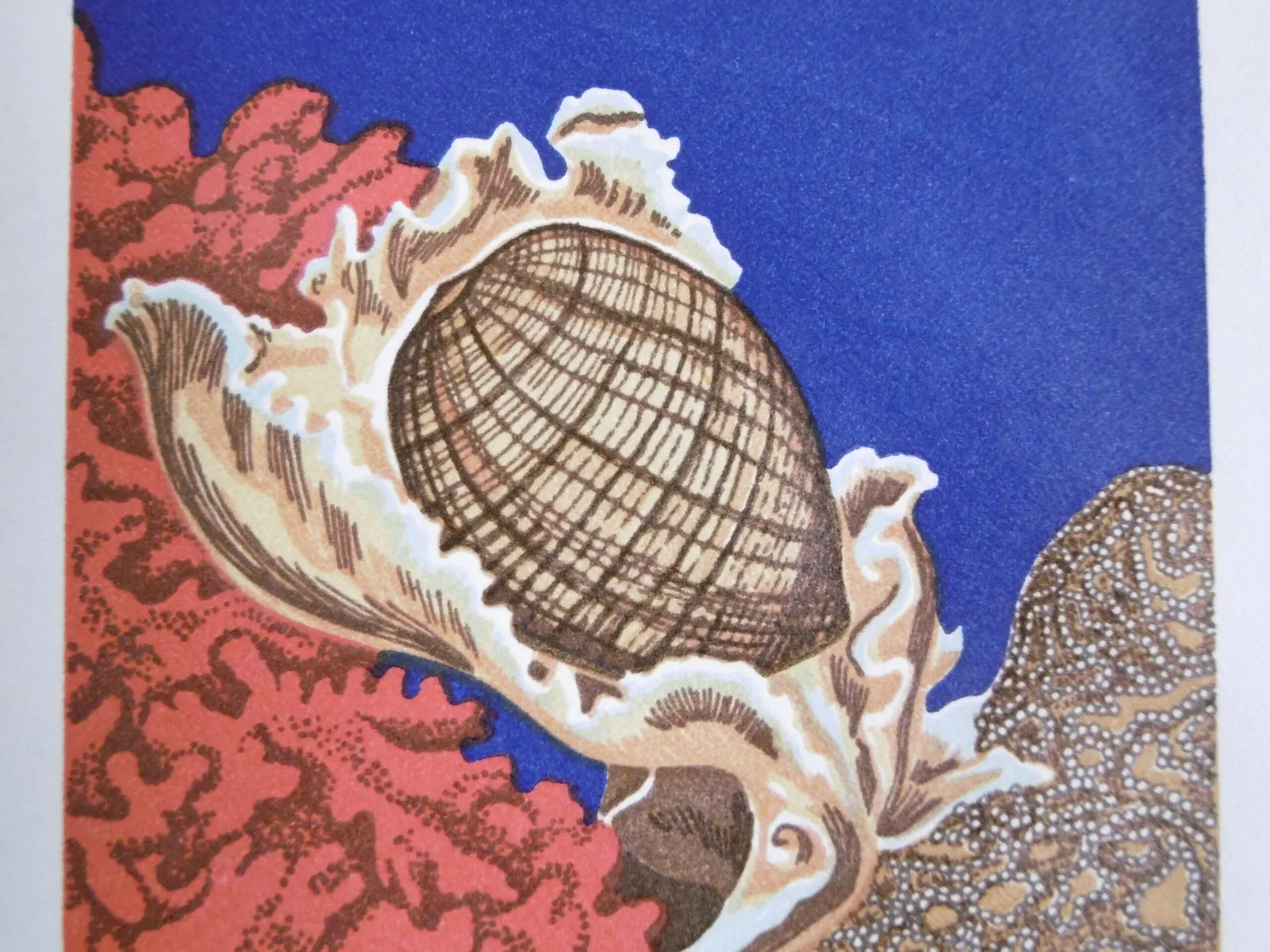 1er Jour "Aquarium de Nouméa" – Image 11