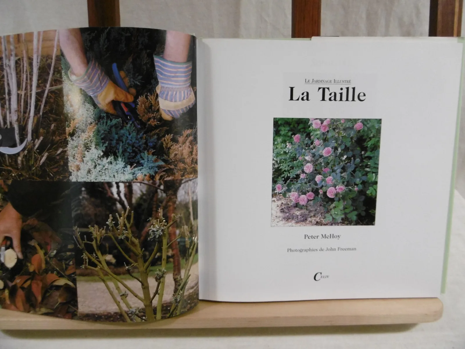 Livre "La taille" – Image 3