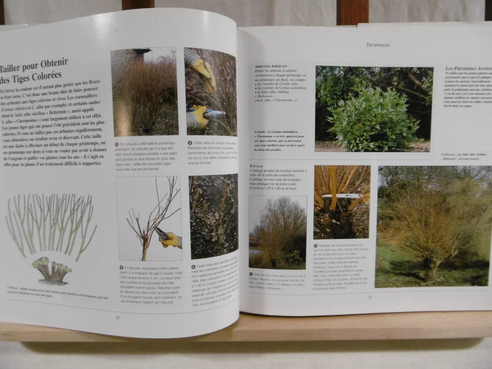 Livre "La taille" – Image 4