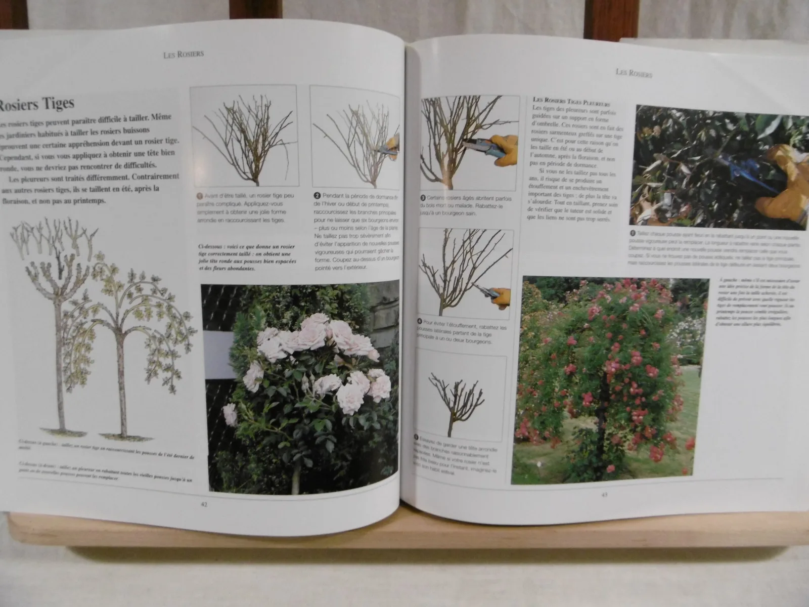 Livre "La taille" – Image 5