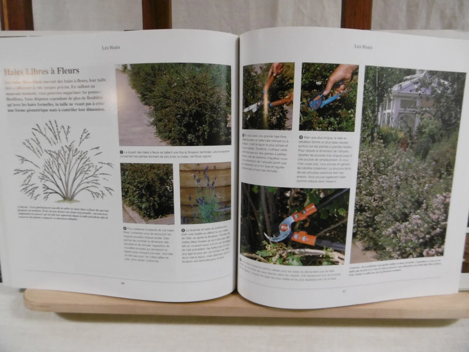 Livre "La taille" – Image 6