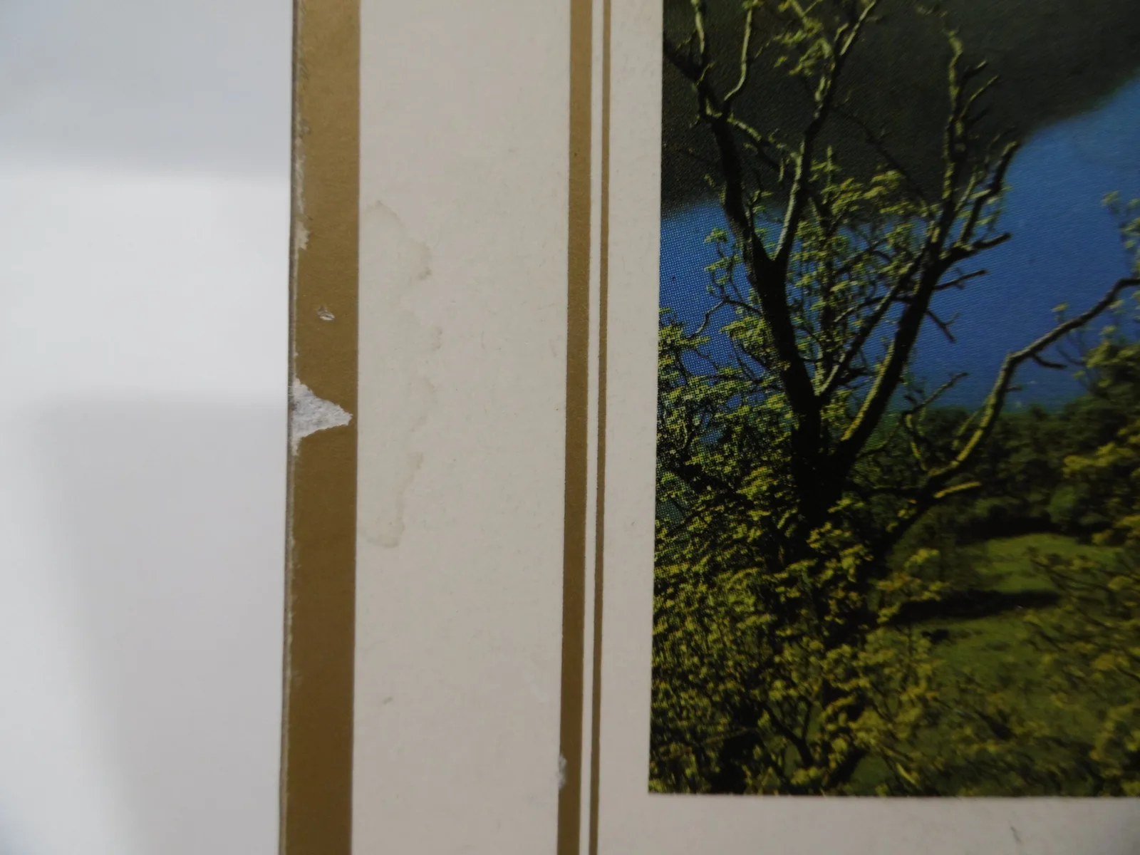 Dessous de plats "Cumbria" – Image 12