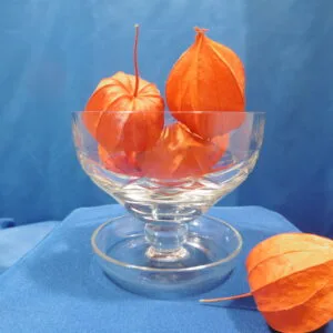 Baguier, verre à dégustation