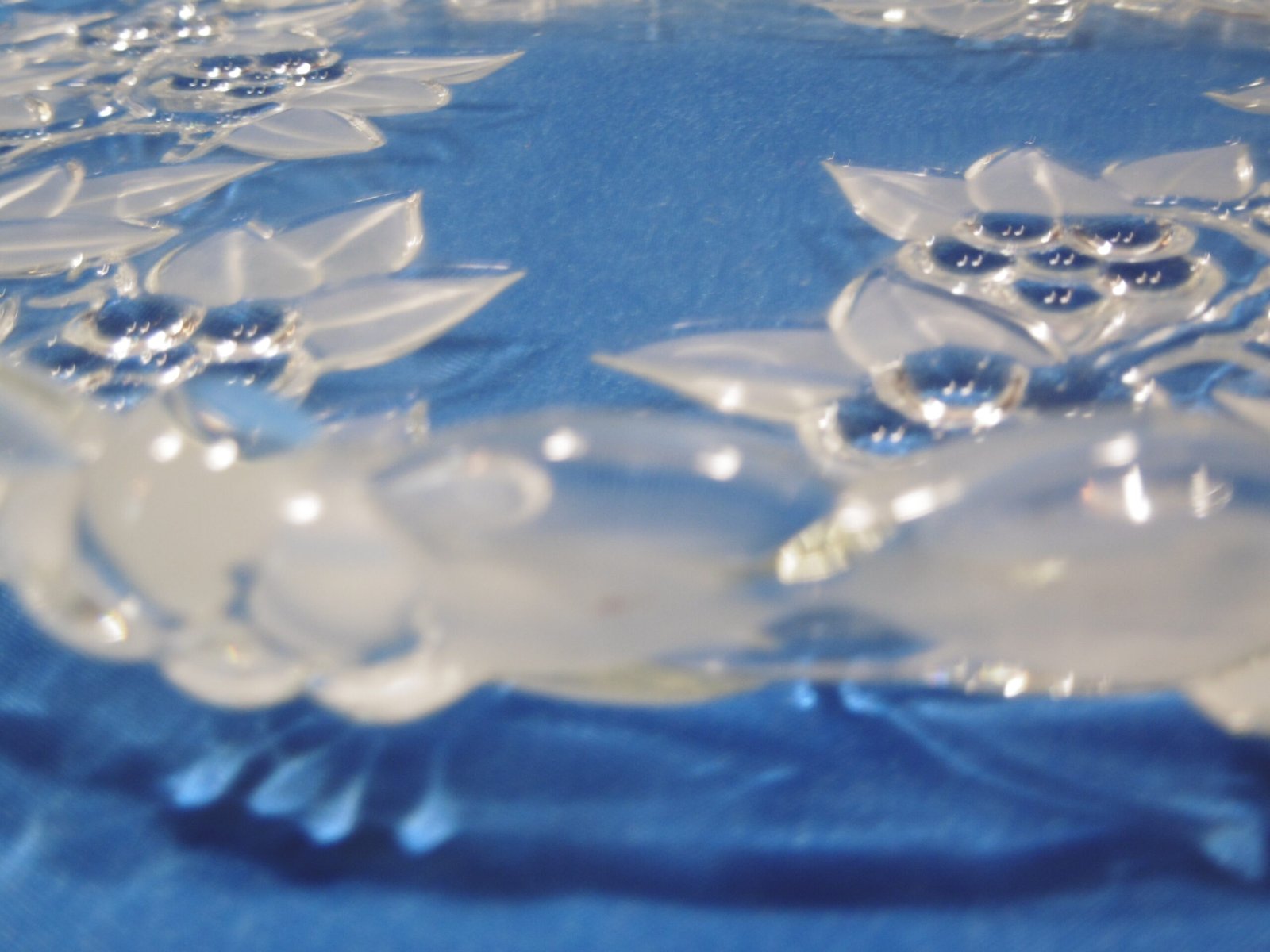 Plateau à fromage en verre avec sa cloche – Image 6